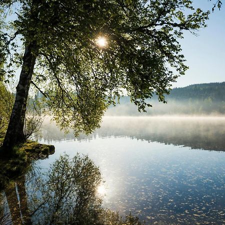 Ferienwohnung Am Schwellenweiher Feldberg  Dış mekan fotoğraf