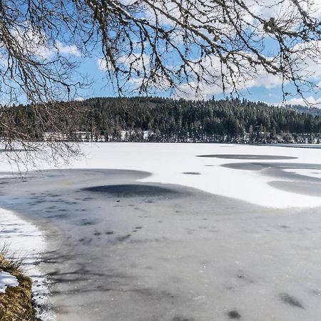 Ferienwohnung Am Schwellenweiher Feldberg  Dış mekan fotoğraf