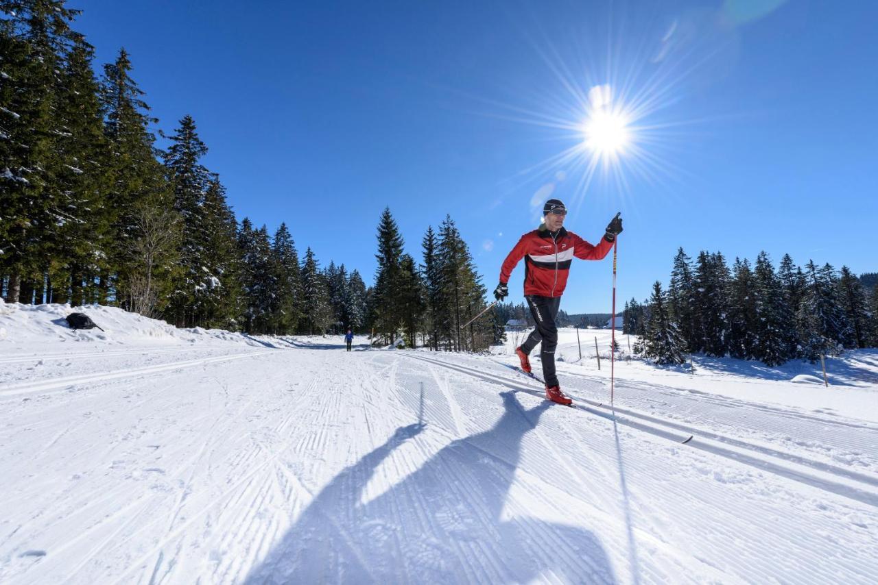 Ferienwohnung Am Schwellenweiher Feldberg  Dış mekan fotoğraf