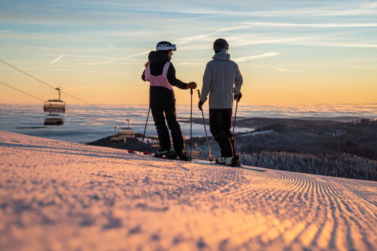 Ferienwohnung Am Schwellenweiher Feldberg  Dış mekan fotoğraf