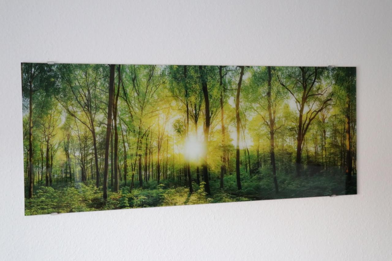 Ferienwohnung Am Schwellenweiher Feldberg  Dış mekan fotoğraf
