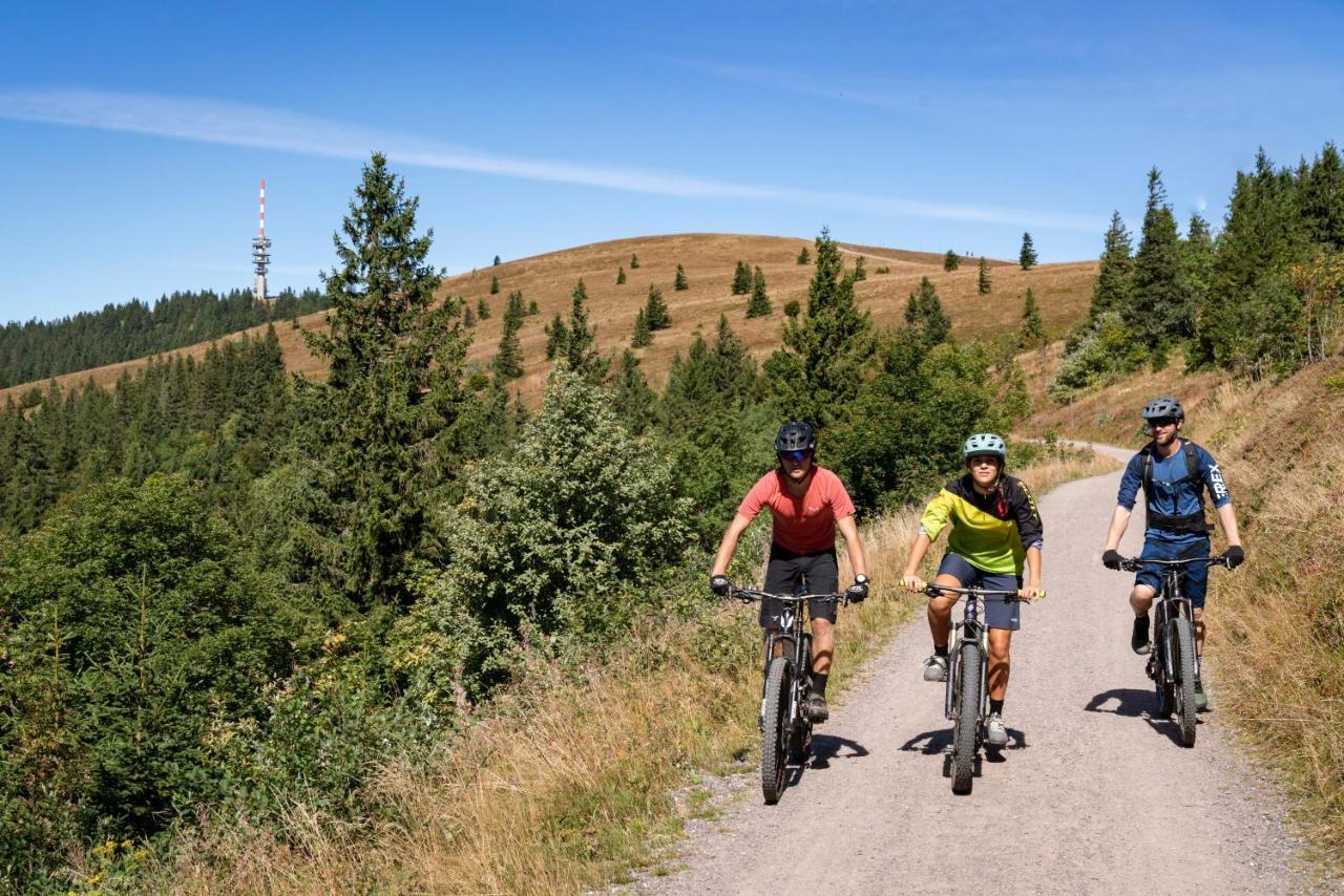 Ferienwohnung Am Schwellenweiher Feldberg  Dış mekan fotoğraf