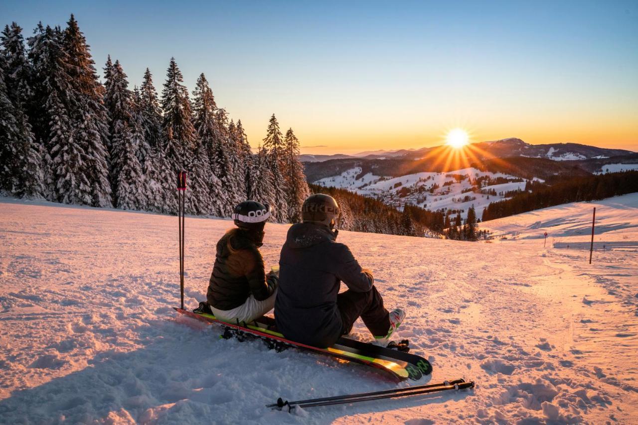 Ferienwohnung Am Schwellenweiher Feldberg  Dış mekan fotoğraf