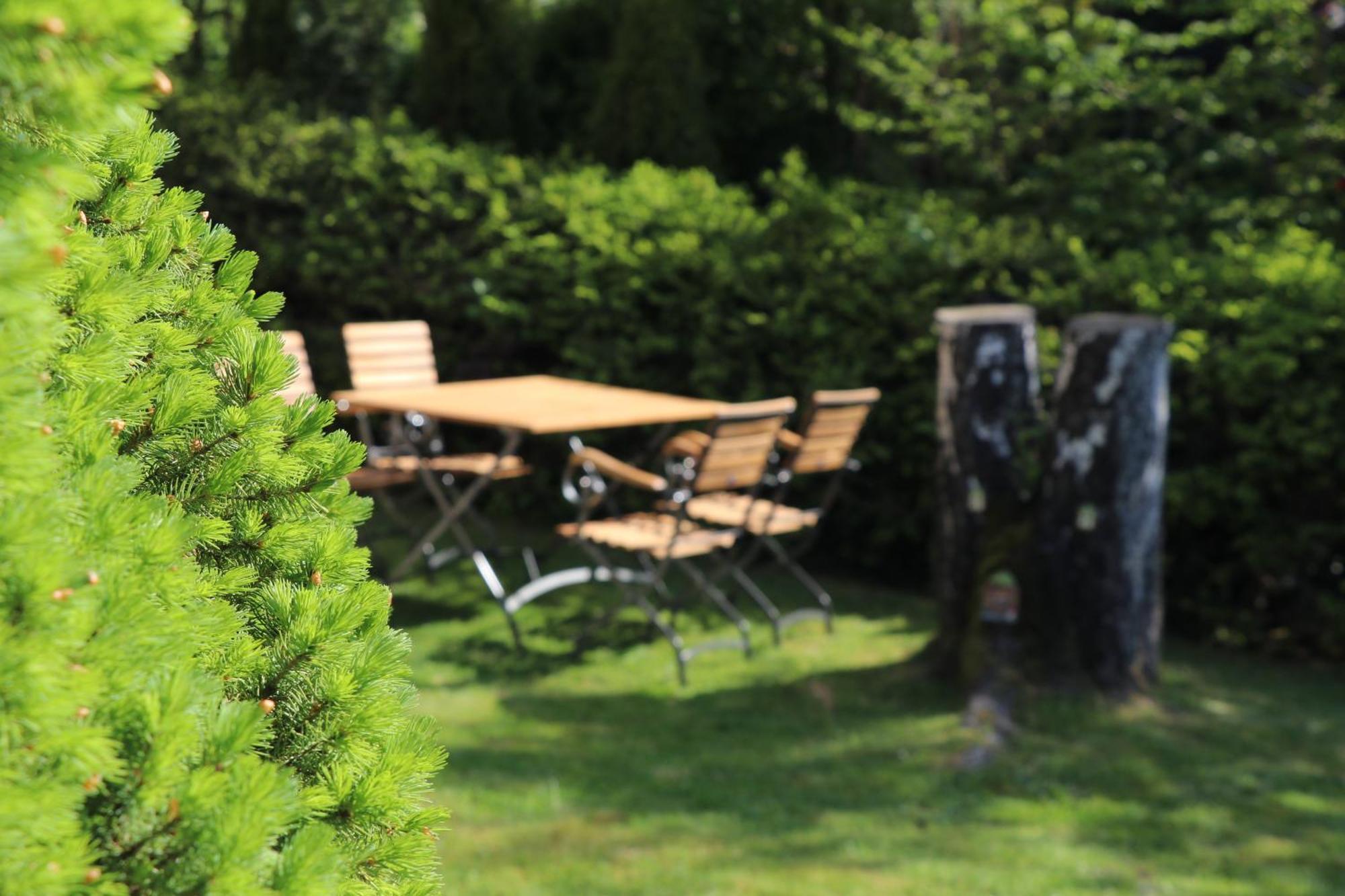 Ferienwohnung Am Schwellenweiher Feldberg  Dış mekan fotoğraf