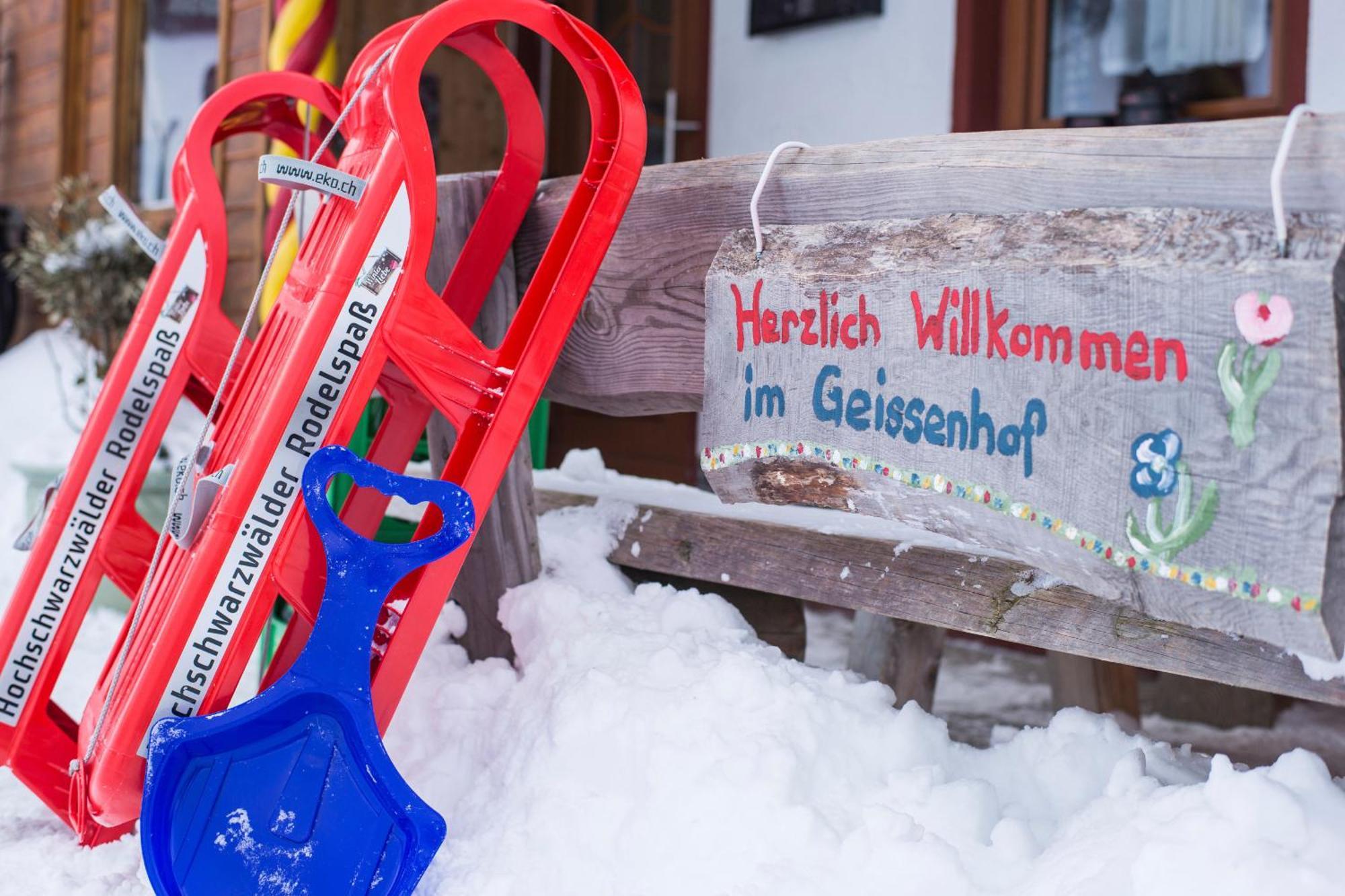 Ferienwohnung Am Schwellenweiher Feldberg  Dış mekan fotoğraf