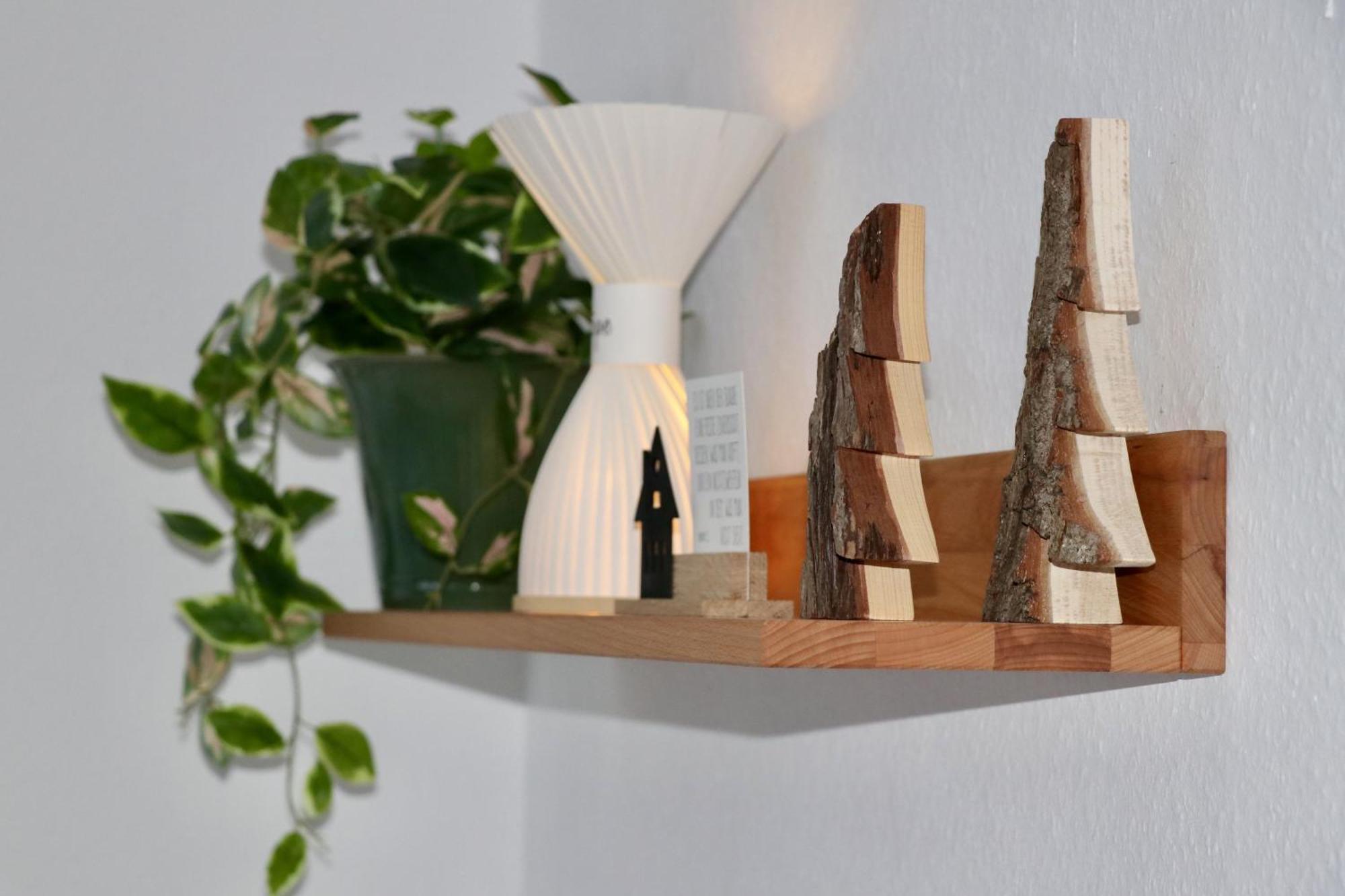 Ferienwohnung Am Schwellenweiher Feldberg  Dış mekan fotoğraf