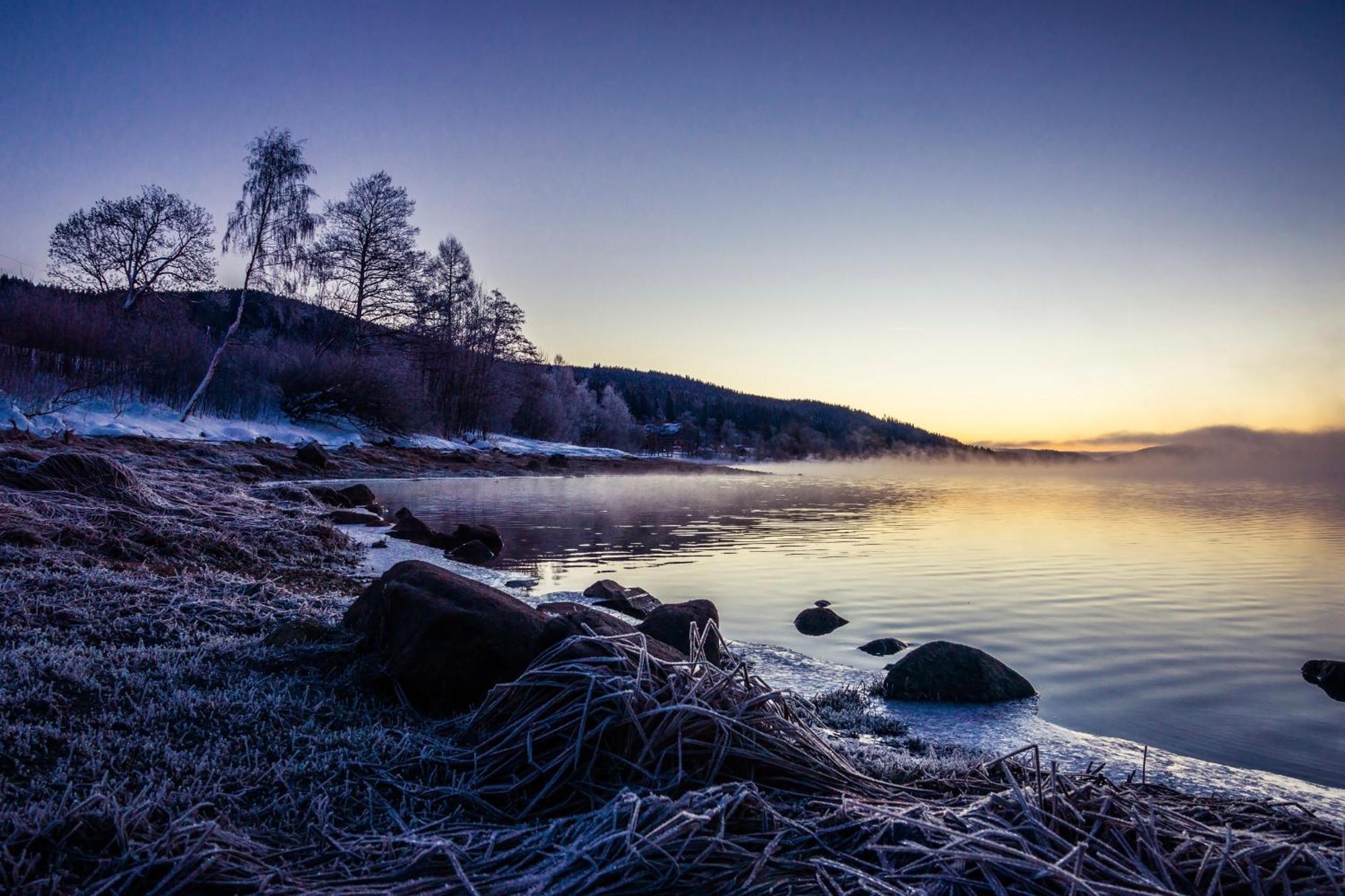 Ferienwohnung Am Schwellenweiher Feldberg  Dış mekan fotoğraf