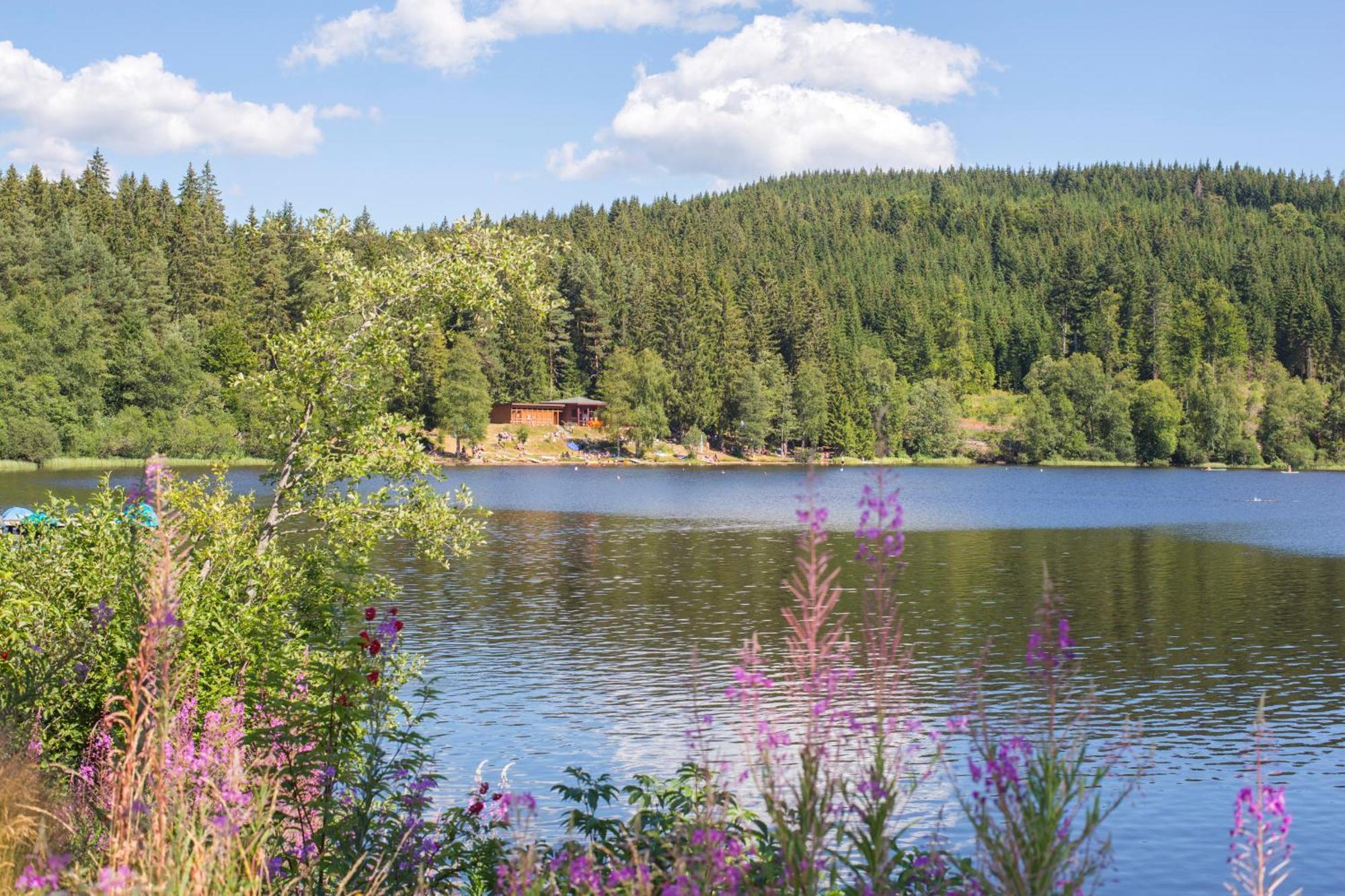 Ferienwohnung Am Schwellenweiher Feldberg  Dış mekan fotoğraf