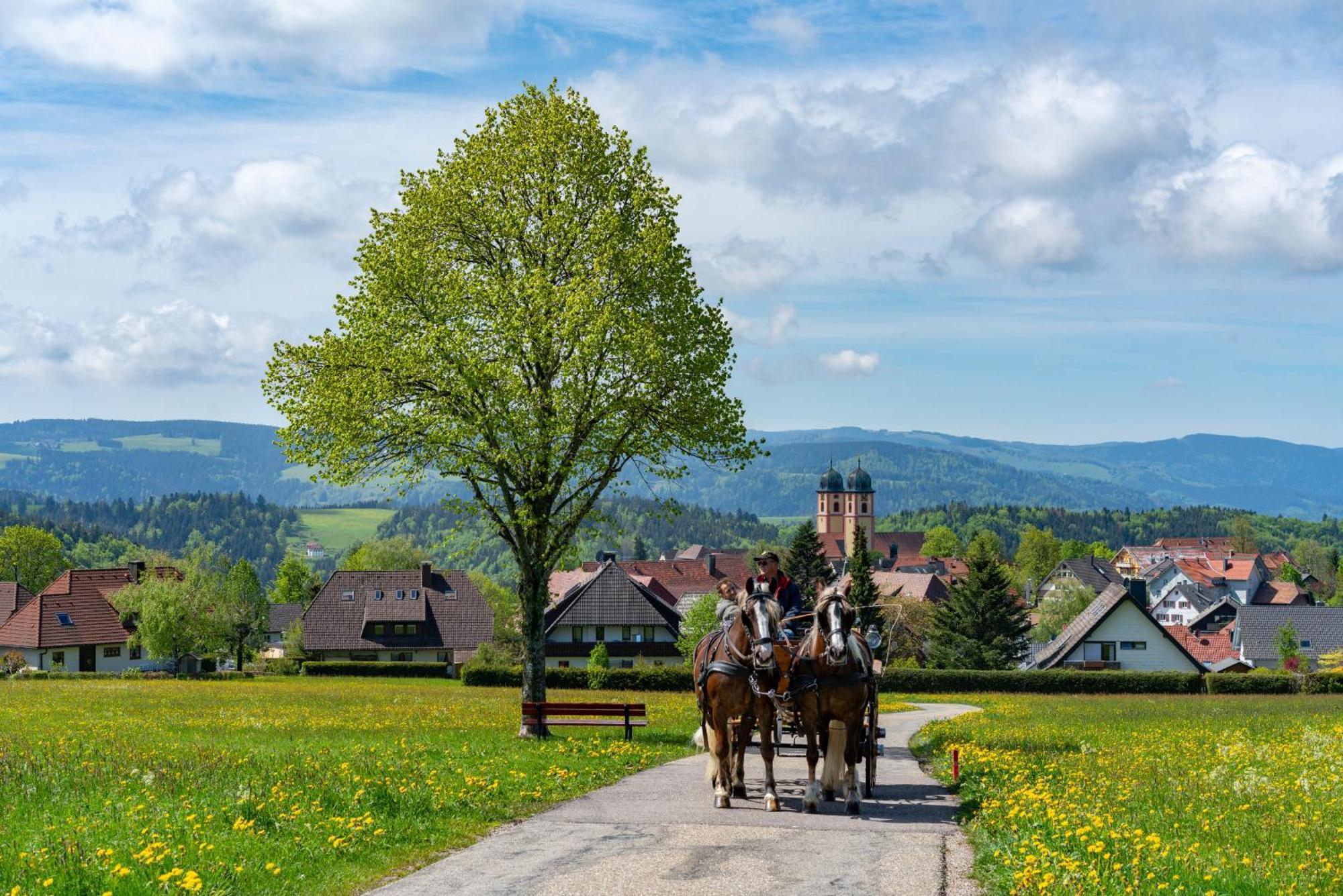 Ferienwohnung Am Schwellenweiher Feldberg  Dış mekan fotoğraf